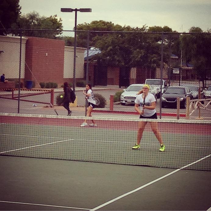 10/15/15 - Basha @ Chandler